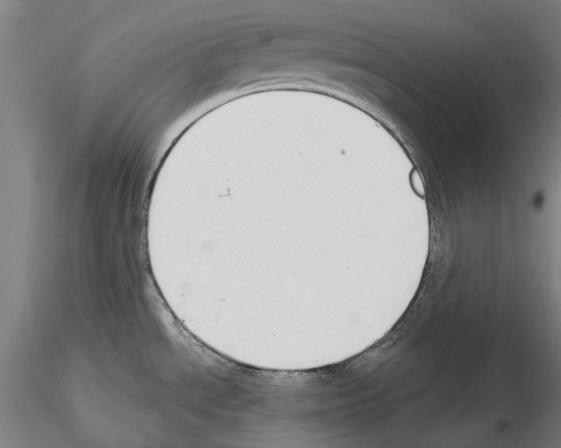 X0000114991534200912071106