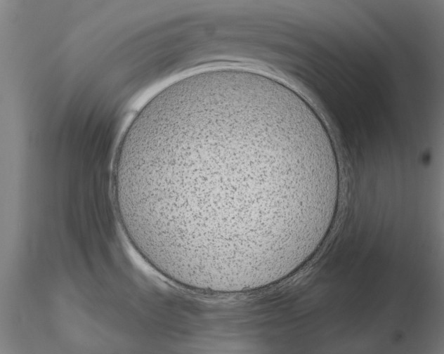 X0000114991535200912071106