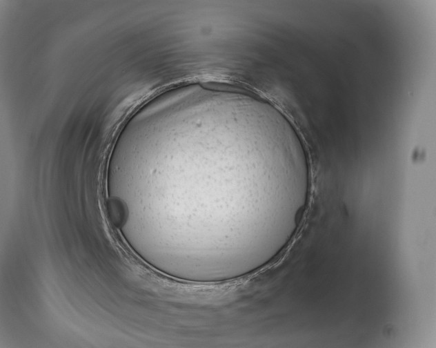 X0000115000001200911091409