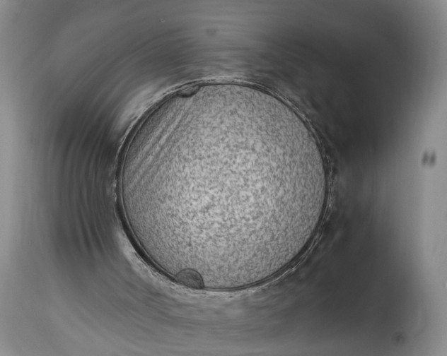 X0000115000002200911091409