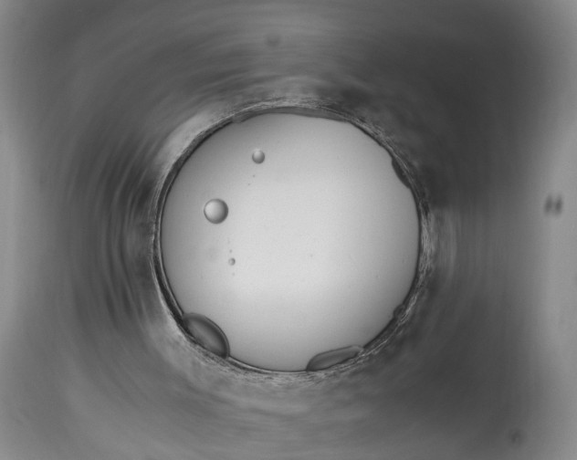 X0000115000003200911091409