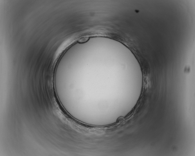 X0000115000004200911091409