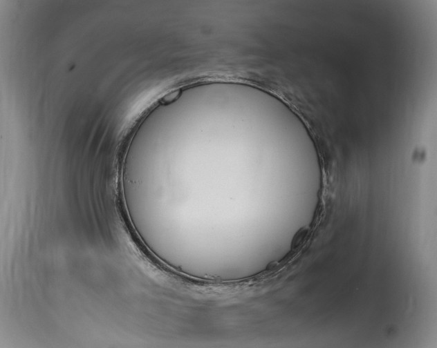 X0000115000005200911091409