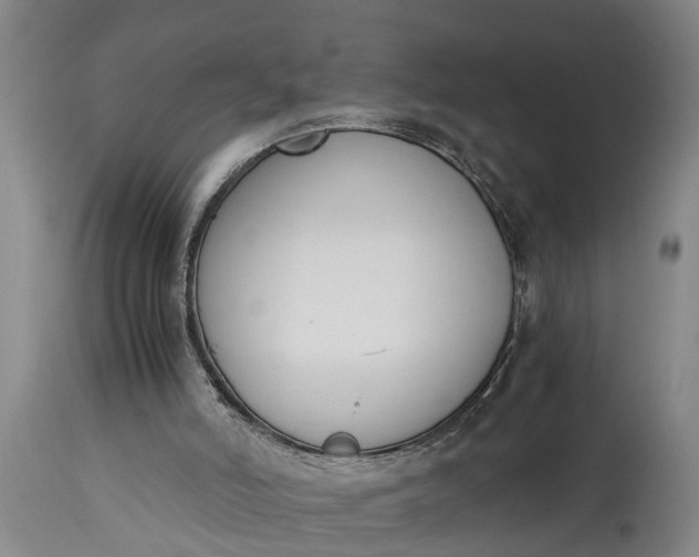 X0000115000006200911091409