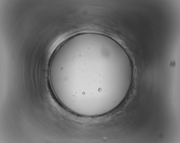 X0000115000007200911091409