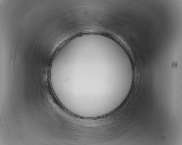 X0000115000010200911091409