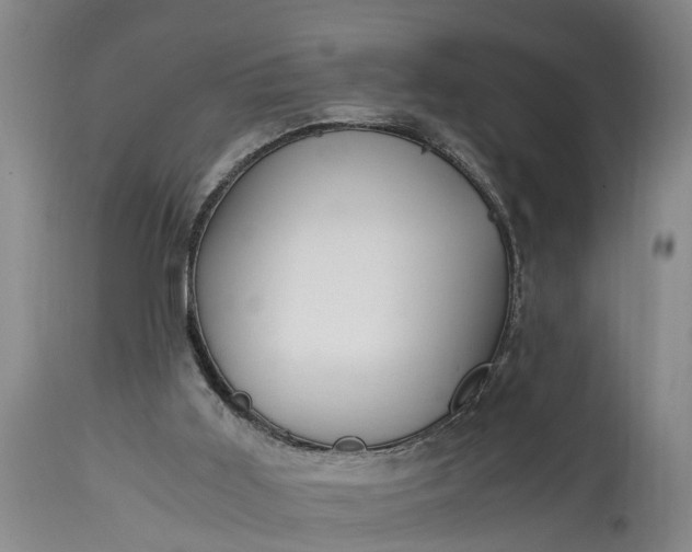 X0000115000011200911091409