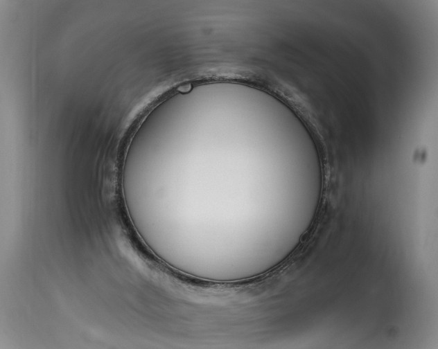 X0000115000012200911091409