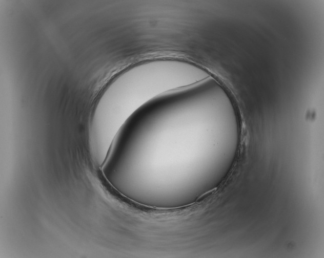 X0000115000013200911091409