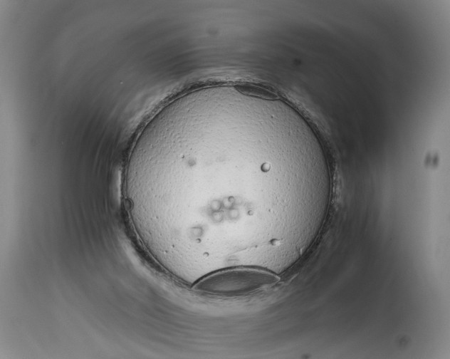 X0000115000014200911091409