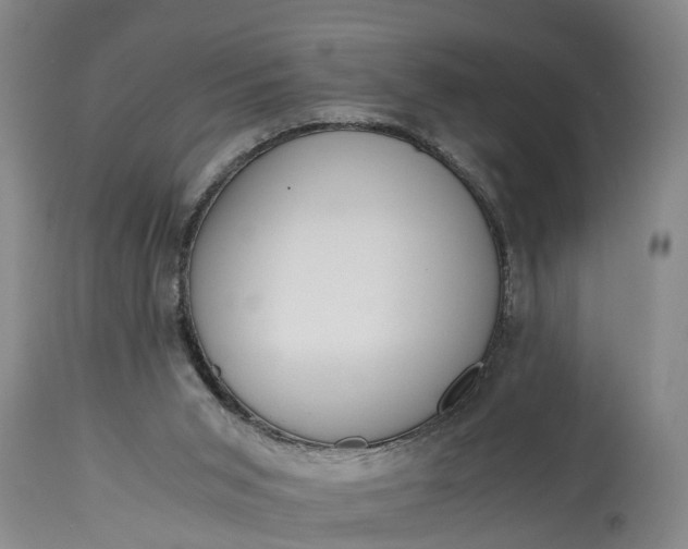 X0000115000015200911091408