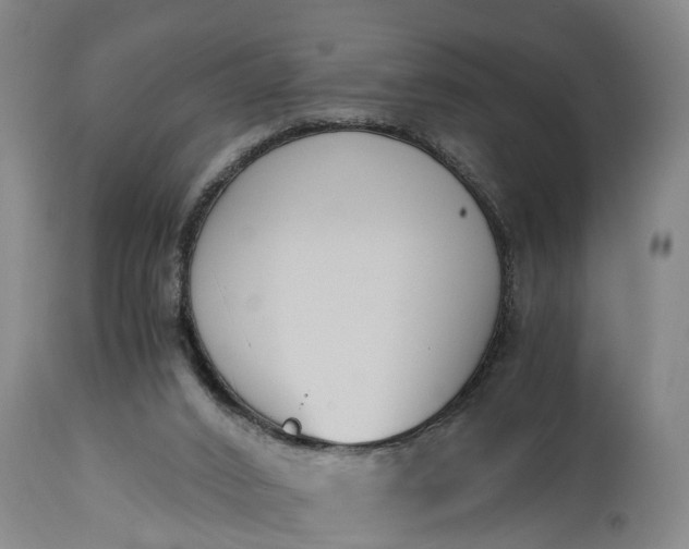 X0000115000016200911091408