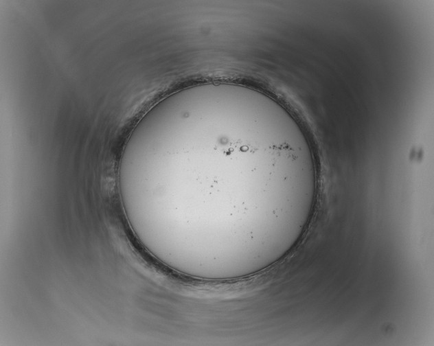 X0000115000017200911091408