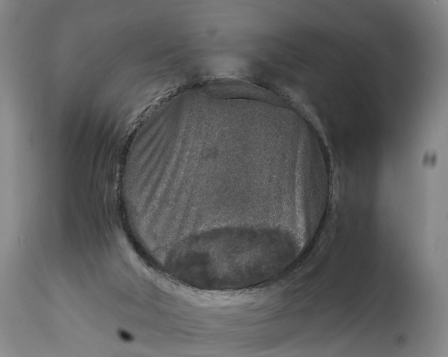 X0000115000018200911091408