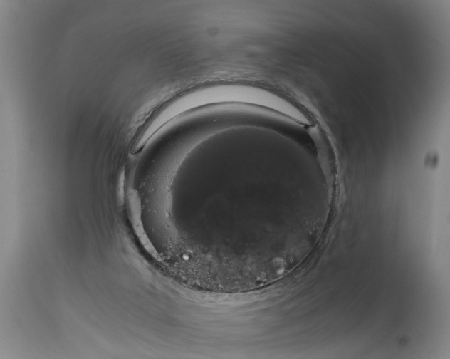 X0000115000019200911091408