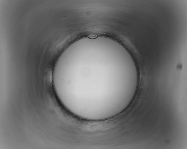 X0000115000021200911091408