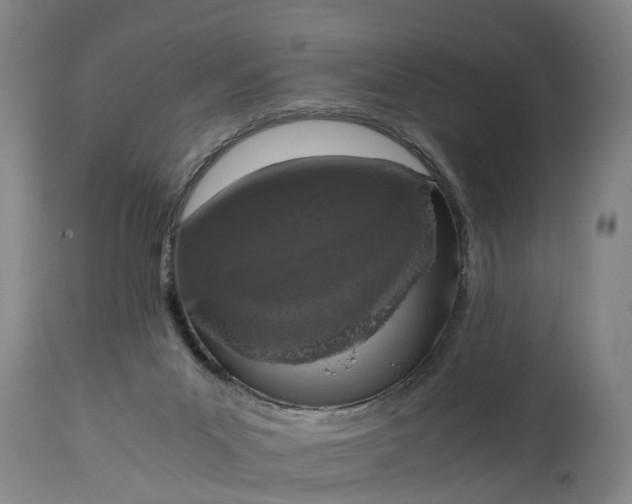 X0000115000023200911091408