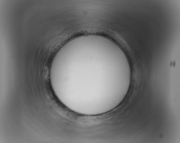 X0000115000025200911091408