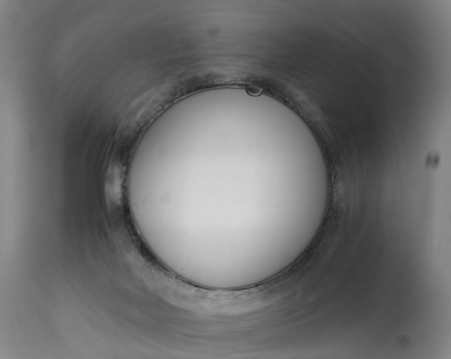 X0000115000026200911091408