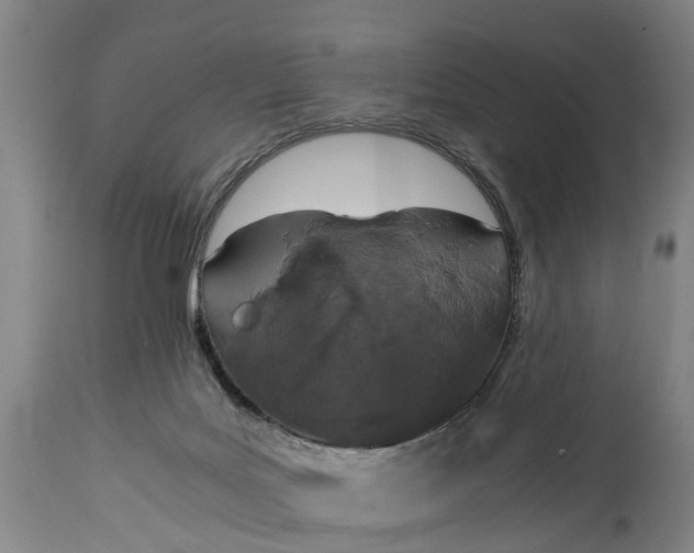 X0000115000027200911091408