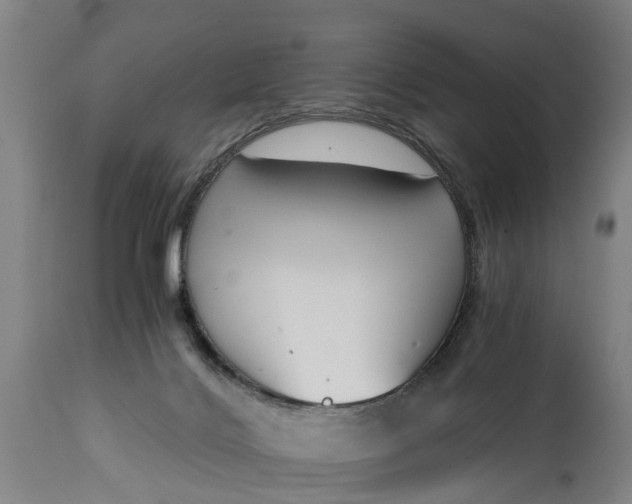 X0000115000028200911091408