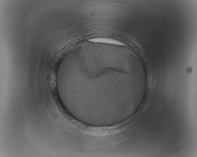 X0000115000029200911091408