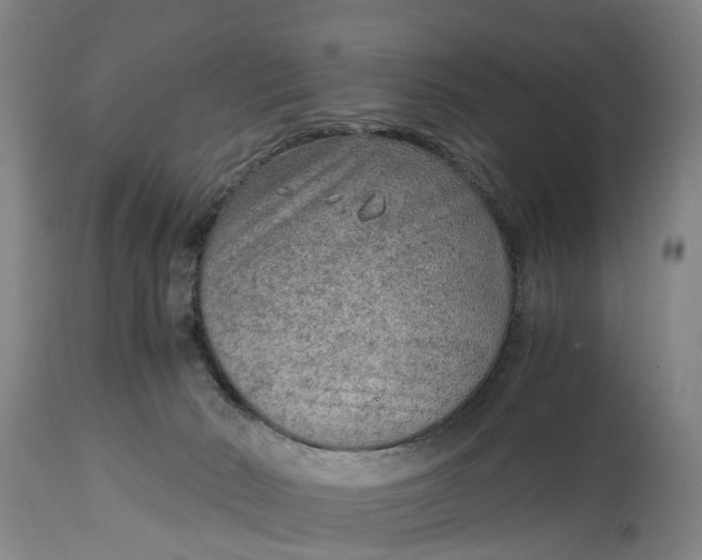 X0000115000030200911091408