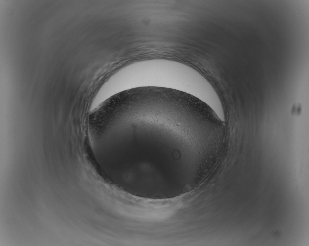 X0000115000031200911091408