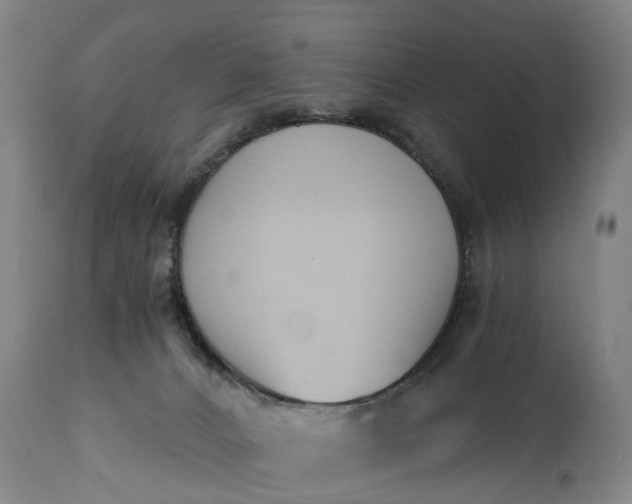 X0000115000032200911091408