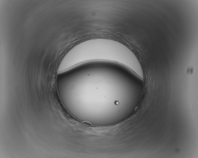 X0000115000033200911091408