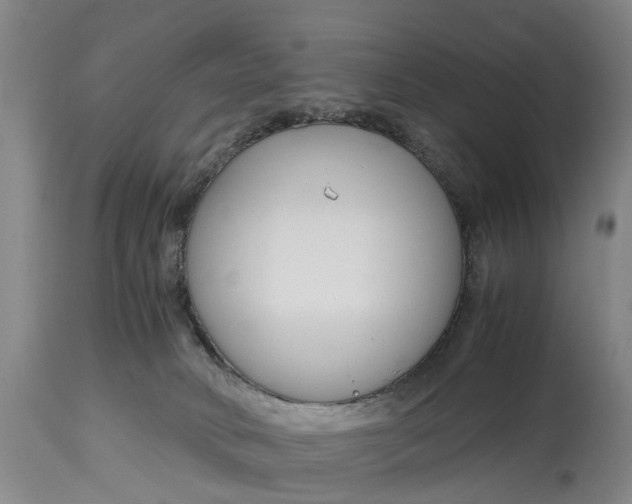 X0000115000034200911091408