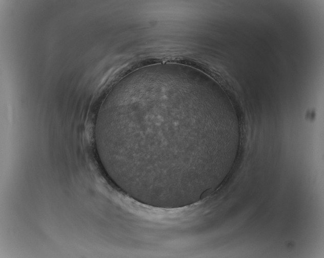 X0000115000035200911091408