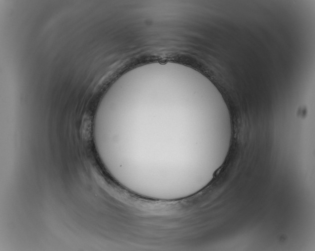 X0000115000036200911091408