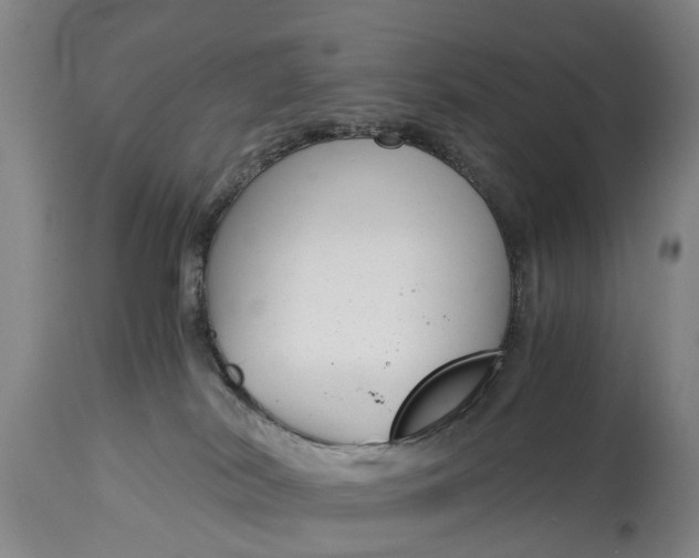 X0000115000038200911091408