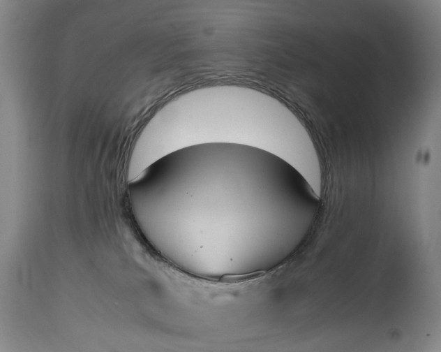 X0000115000039200911091408