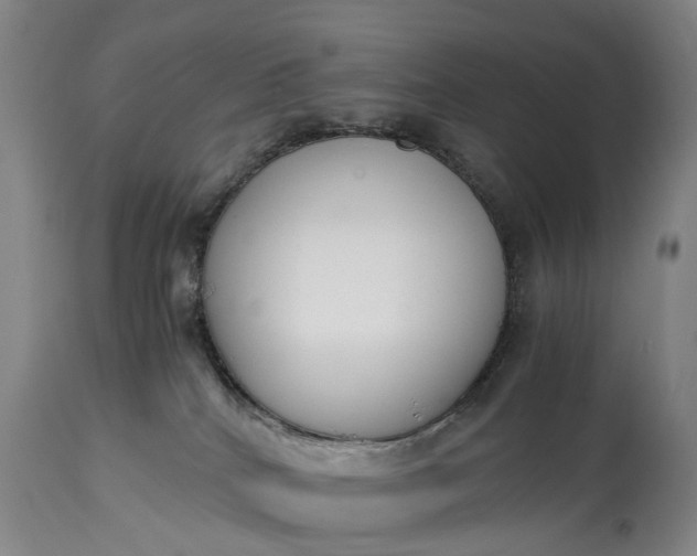 X0000115000040200911091408