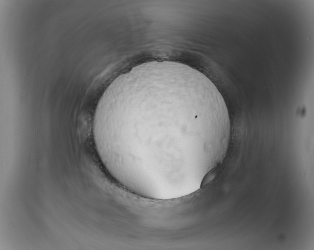 X0000115000043200911091408