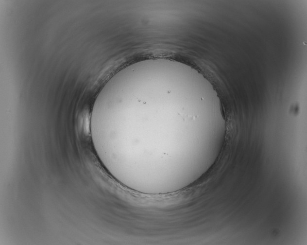 X0000115000046200911091408