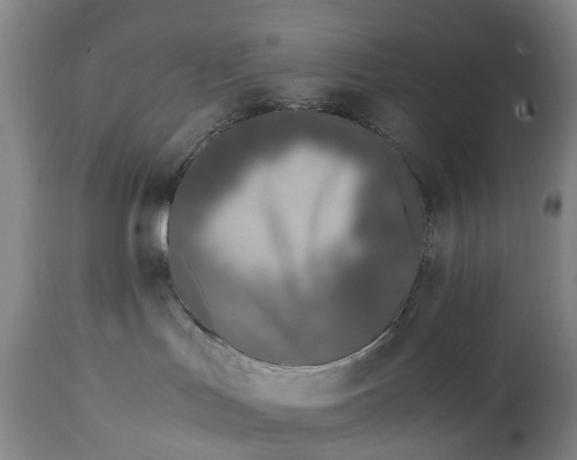 X0000115000047200911091408