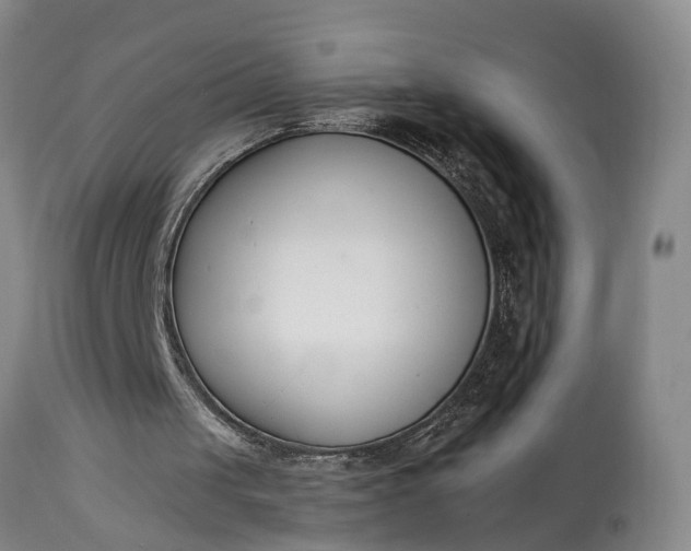 X0000115000049200911091407