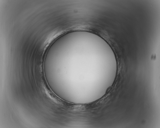 X0000115000050200911091407