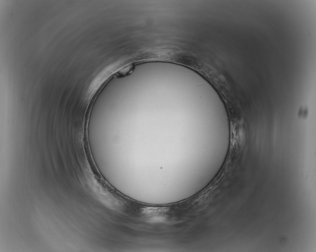 X0000115000051200911091407