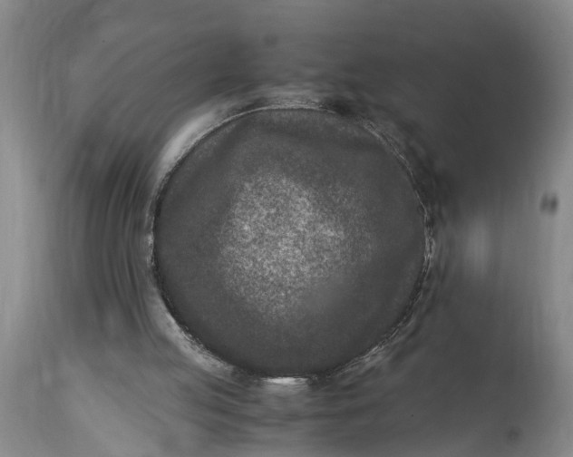 X0000115000053200911091407