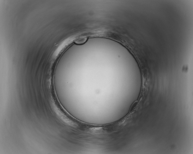 X0000115000054200911091407