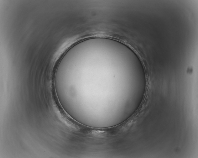 X0000115000055200911091407