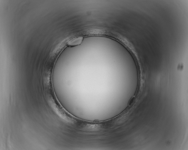 X0000115000057200911091407