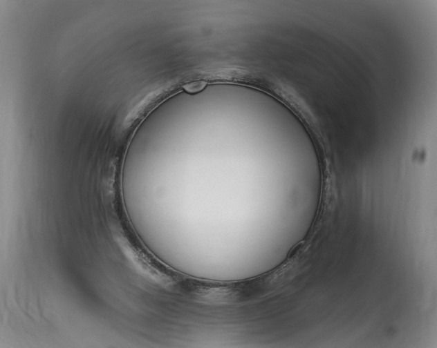 X0000115000058200911091407