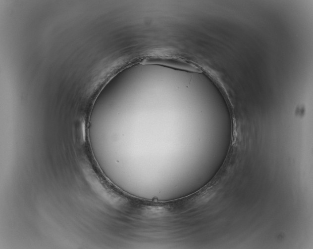 X0000115000061200911091407