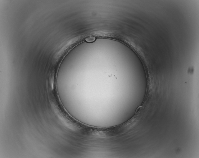 X0000115000062200911091407