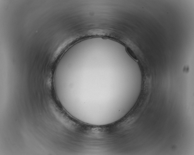 X0000115000064200911091407